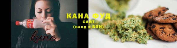 гашик Богородск